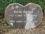 Seria Nielsen.JPG